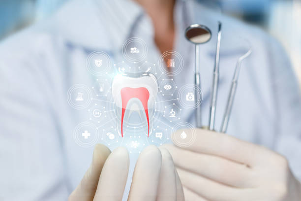 Professional Dental Services in Loch Sheldrake, NY